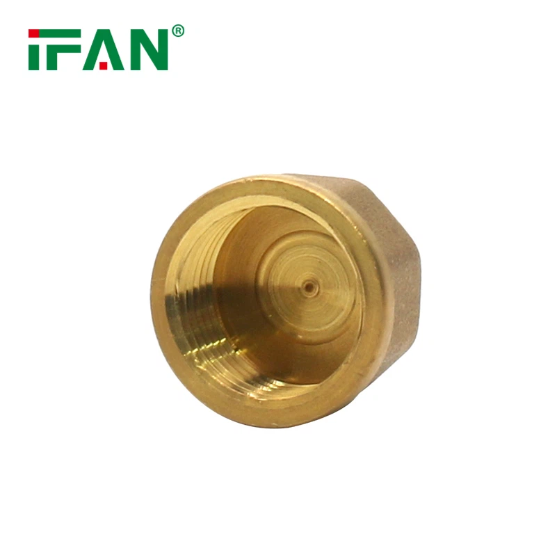 Brass Fitting Cap1 Brass Fitting Cap1